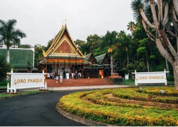 Apartmán Precioso Con La Mejor Ubicacion En Puerto de la Cruz (Tenerife)